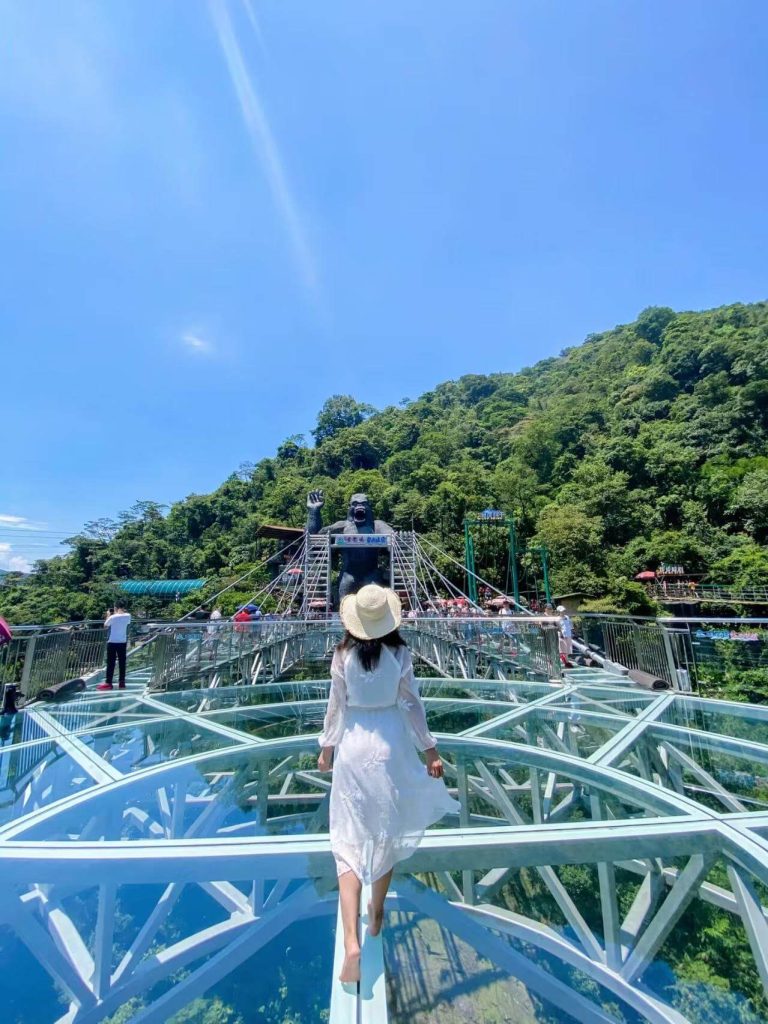 A Girl Standing on the Glass Platform